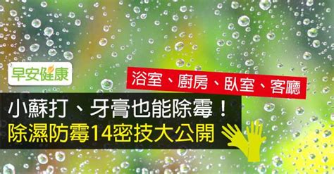 東西發霉|小蘇打、牙膏也能除霉！除濕防霉14密技大公開